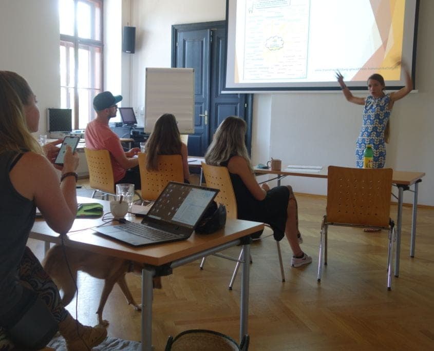 Hund zieht an der Leine: 5 Techniken, die wirklich funktionieren